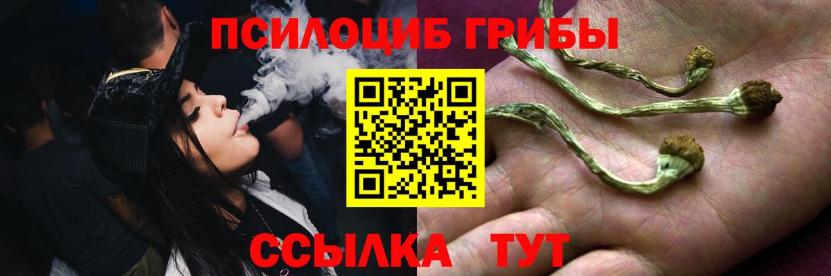 Галлюциногенные грибы Psilocybine cubensis Татарск